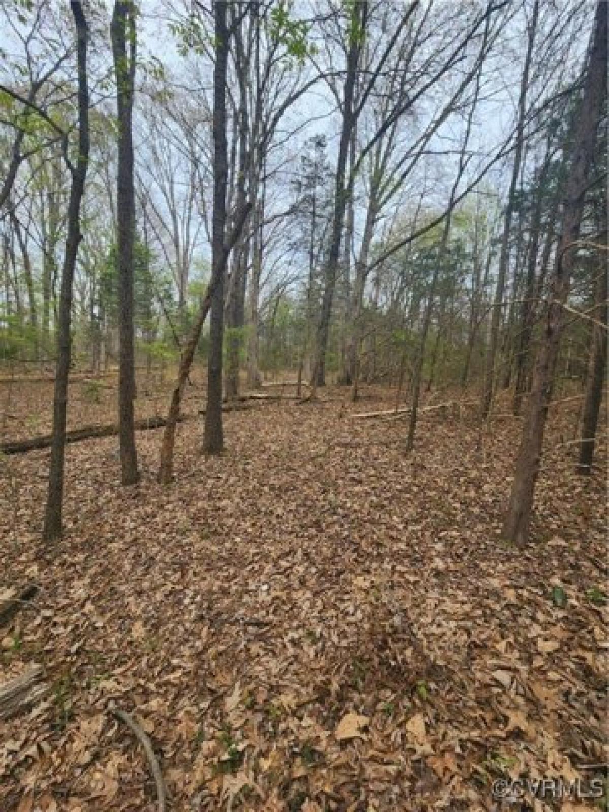 Picture of Residential Land For Sale in Cumberland, Virginia, United States