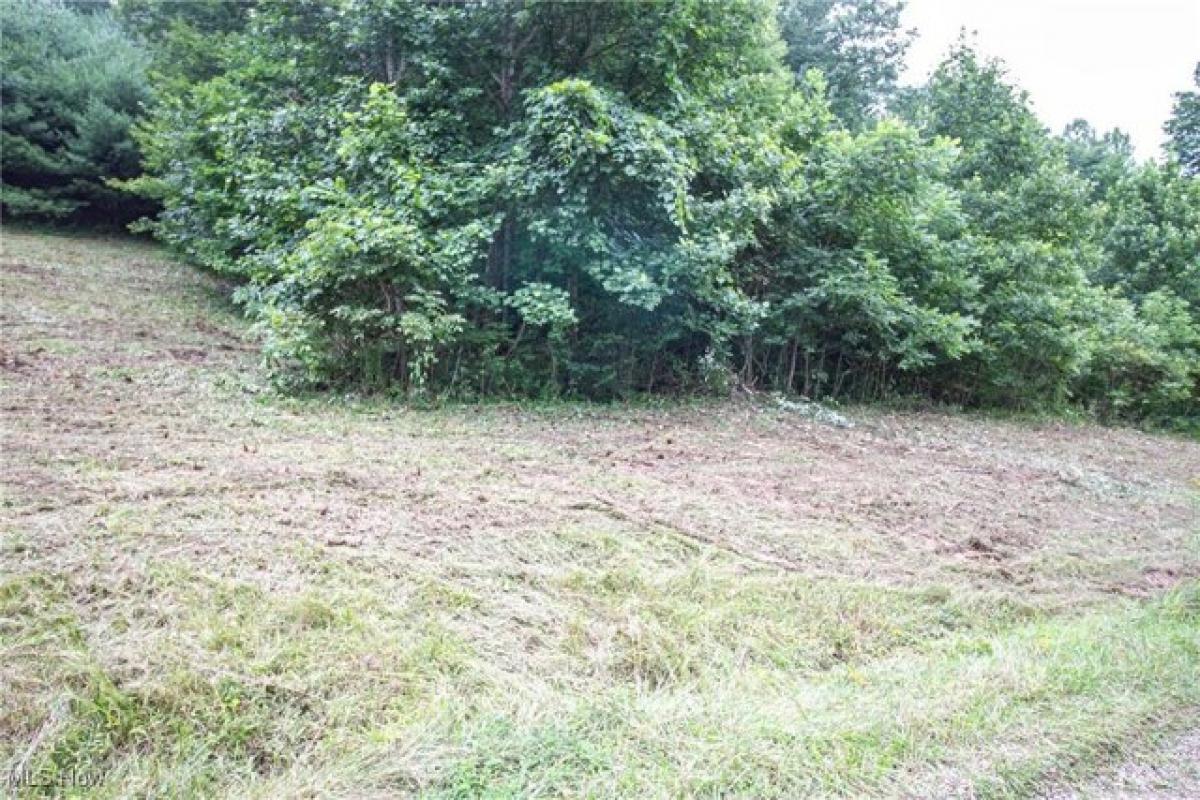 Picture of Residential Land For Sale in Cadiz, Ohio, United States