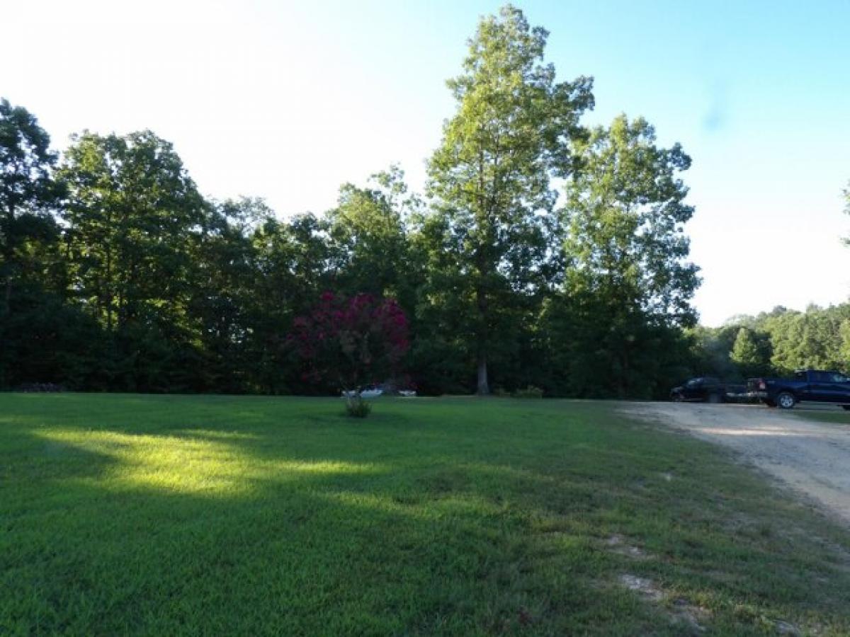 Picture of Residential Land For Sale in Pikeville, Tennessee, United States