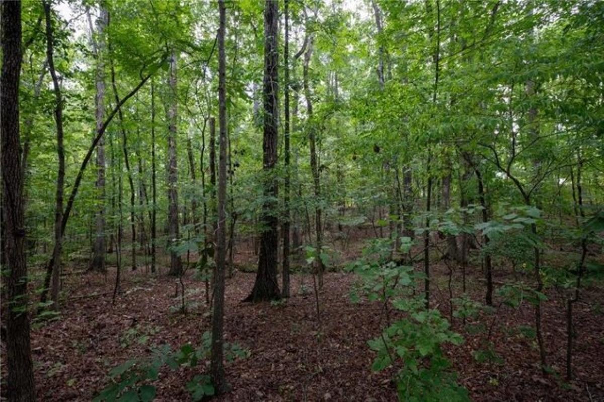 Picture of Residential Land For Sale in Calhoun, Georgia, United States