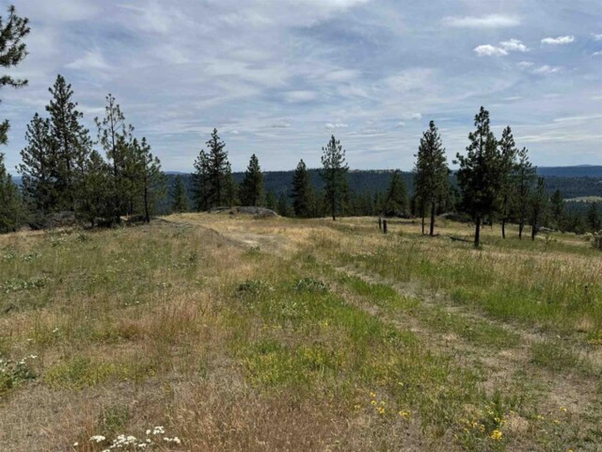 Picture of Residential Land For Sale in Spokane, Washington, United States