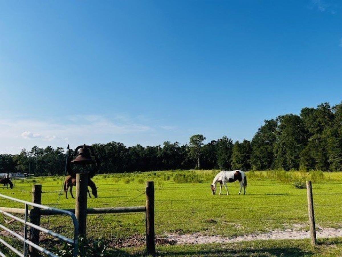 Picture of Residential Land For Sale in Live Oak, Florida, United States