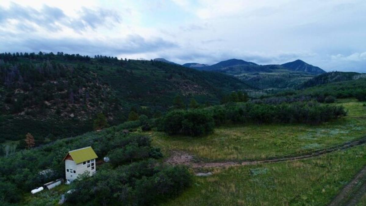 Picture of Residential Land For Sale in Placerville, Colorado, United States