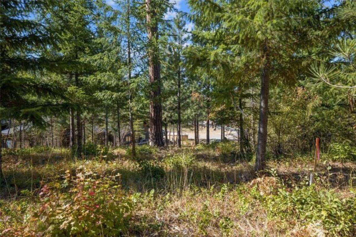 Picture of Residential Land For Sale in Cle Elum, Washington, United States