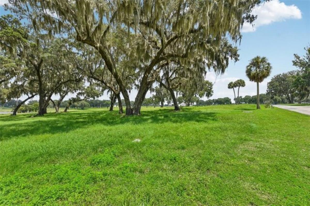 Picture of Residential Land For Sale in Summerfield, Florida, United States