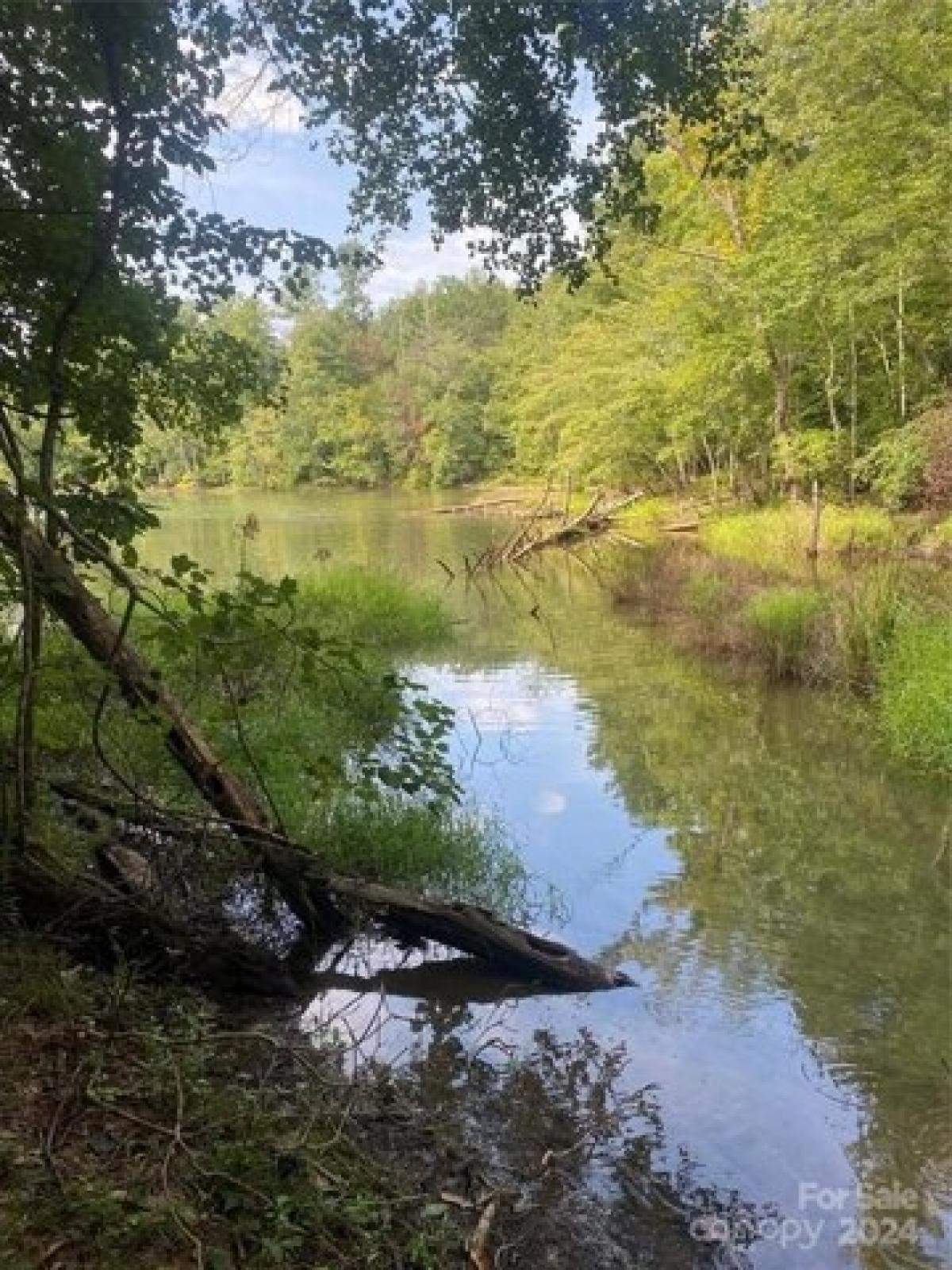 Picture of Residential Land For Sale in Morganton, North Carolina, United States