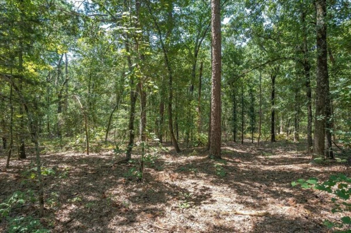 Picture of Residential Land For Sale in Winnsboro, Texas, United States