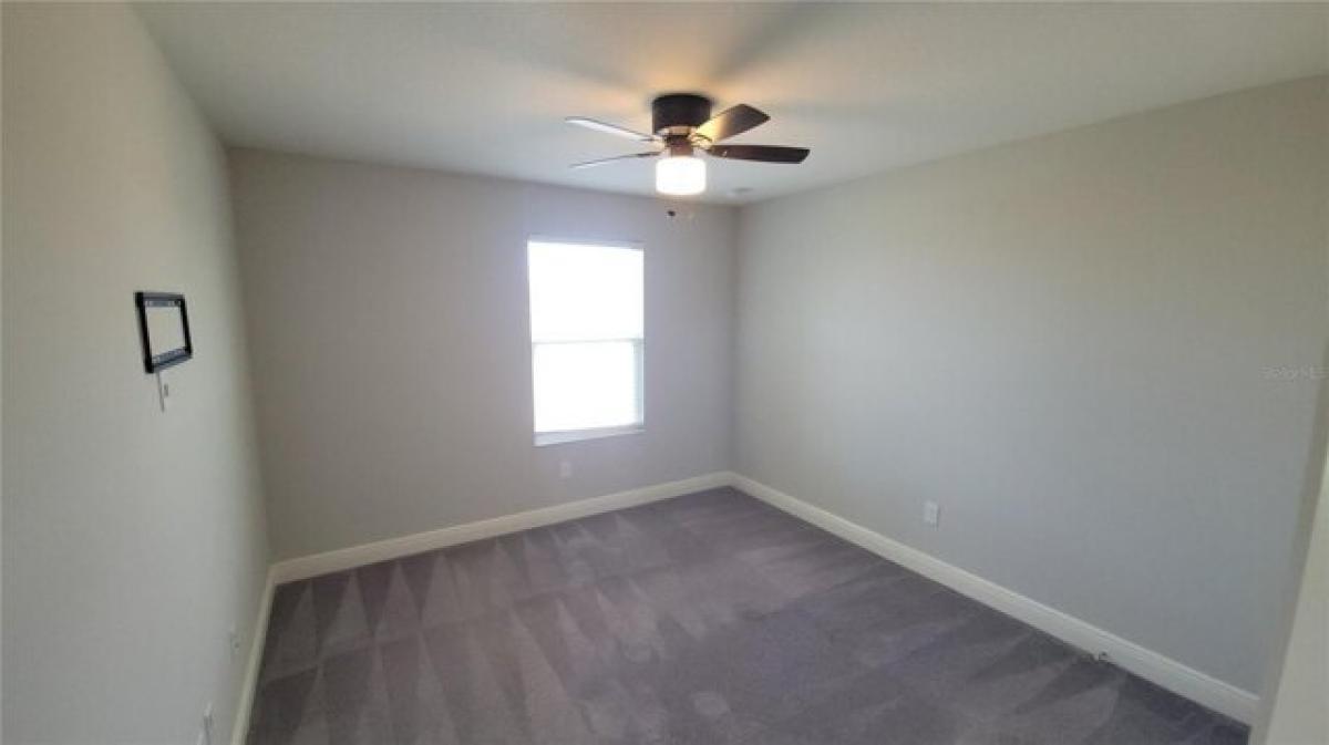 Picture of Home For Rent in Apollo Beach, Florida, United States