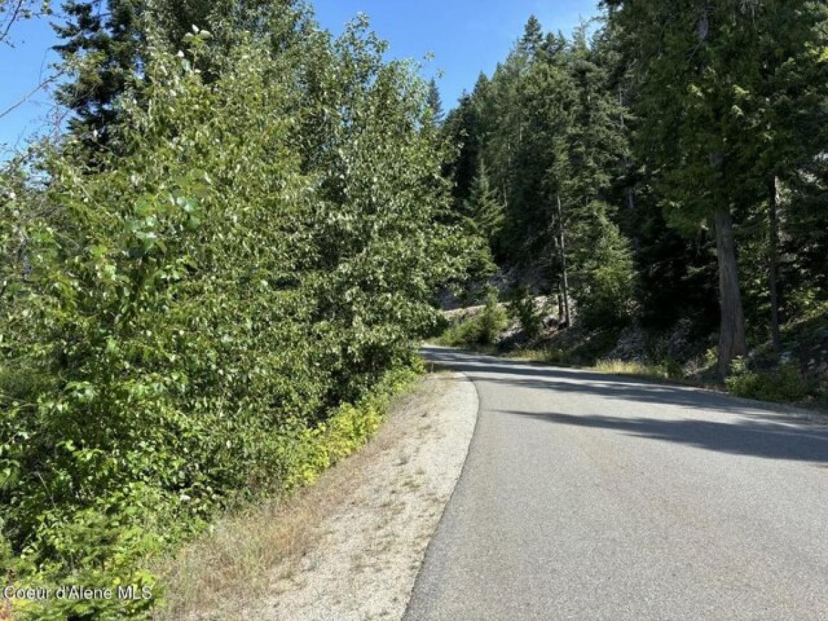 Picture of Residential Land For Sale in Sandpoint, Idaho, United States