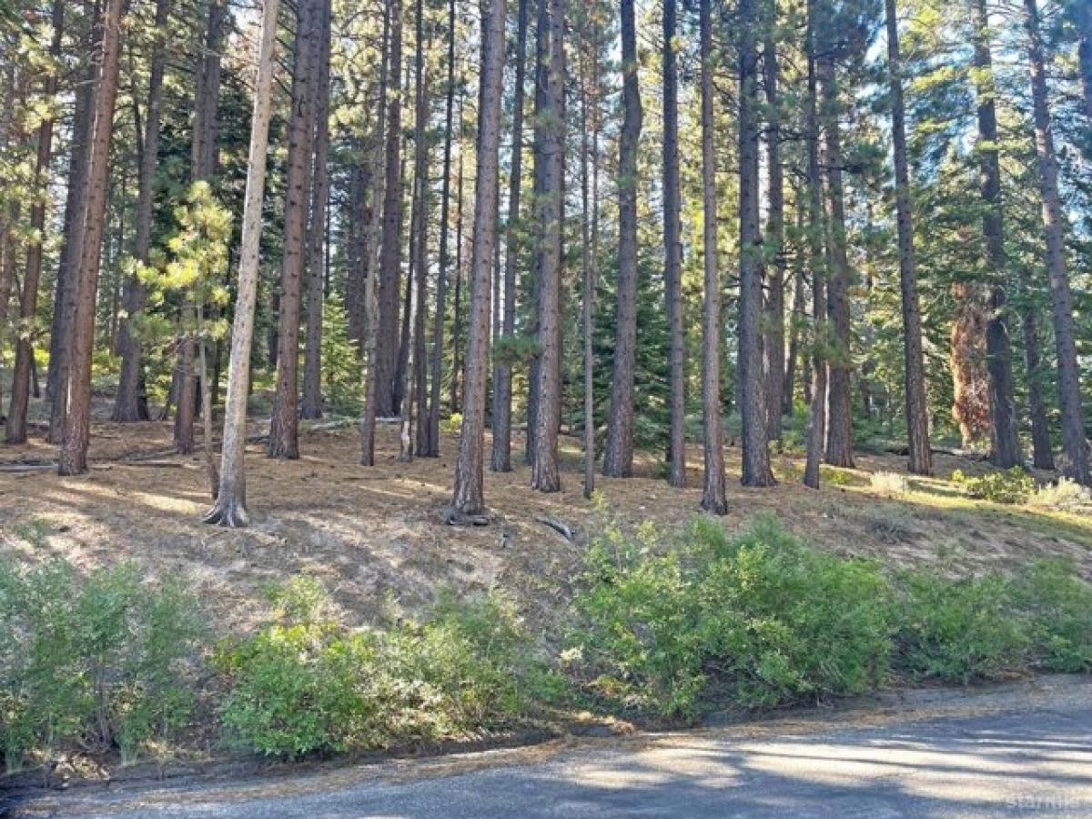 Picture of Residential Land For Sale in South Lake Tahoe, California, United States