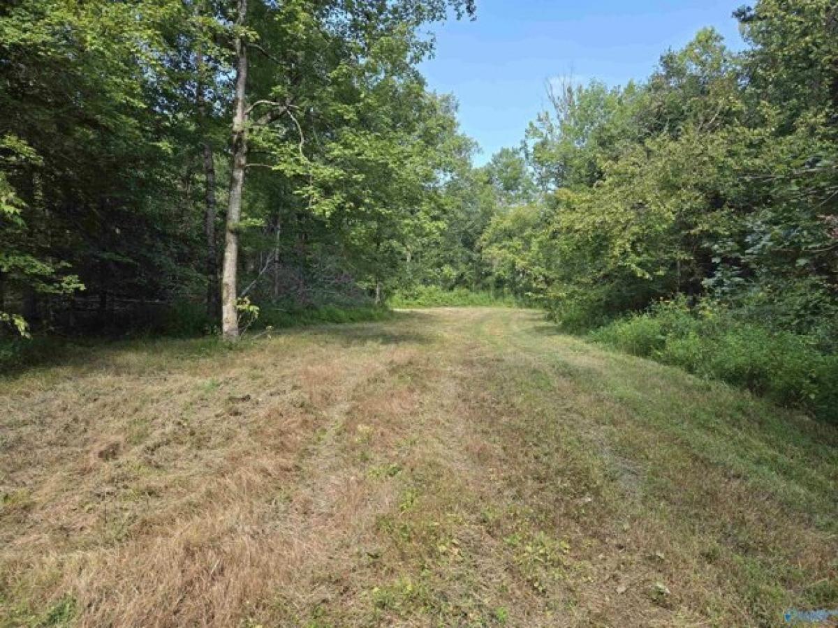 Picture of Residential Land For Sale in Hazel Green, Alabama, United States