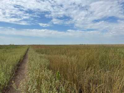 Residential Land For Sale in Satanta, Kansas