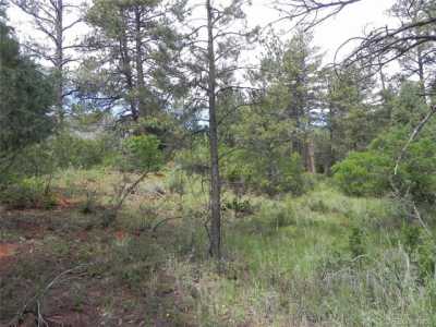 Residential Land For Sale in Larkspur, Colorado