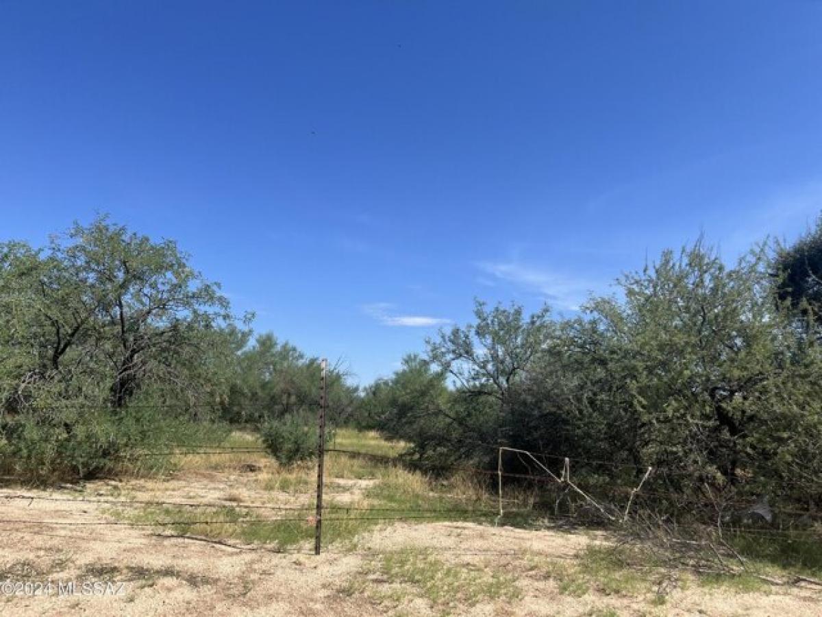 Picture of Residential Land For Sale in Tucson, Arizona, United States