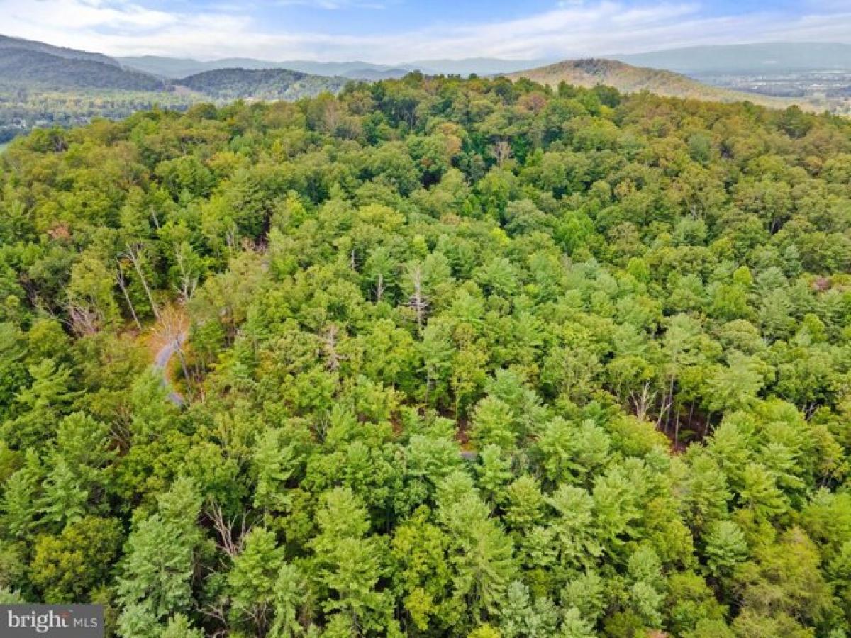 Picture of Residential Land For Sale in Luray, Virginia, United States