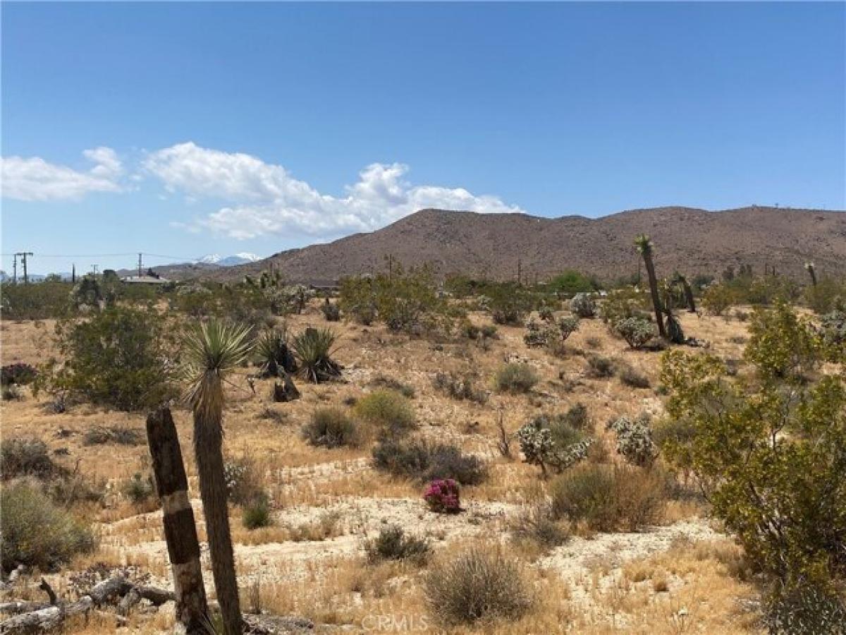 Picture of Residential Land For Sale in Yucca Valley, California, United States