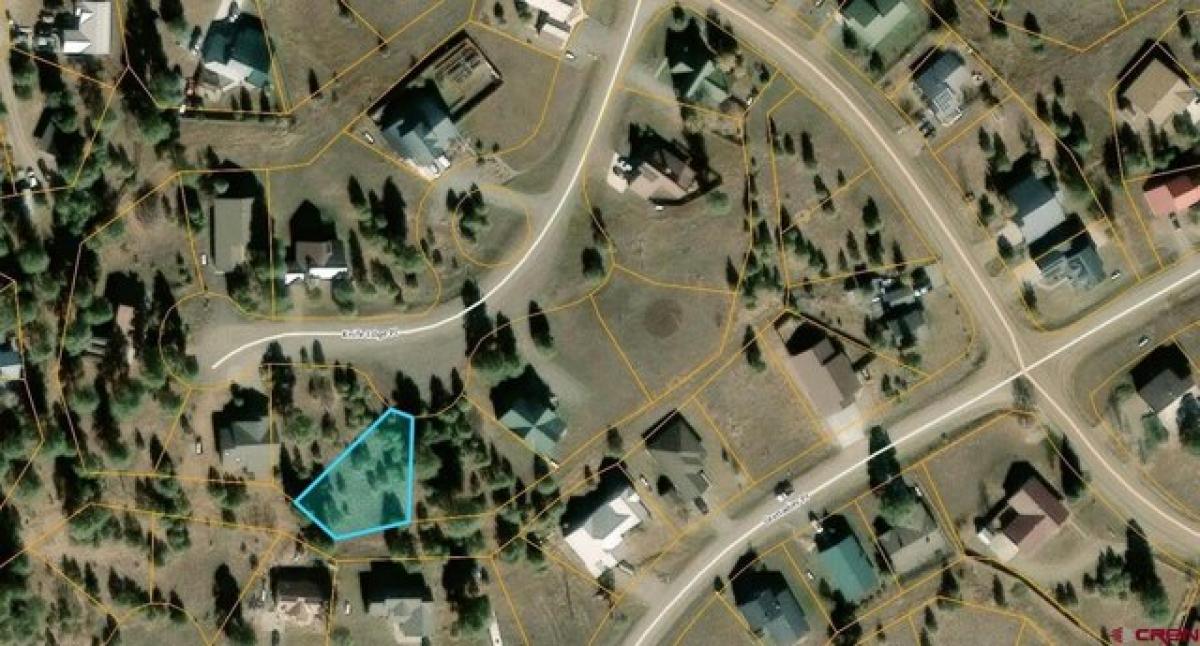 Picture of Residential Land For Sale in Pagosa Springs, Colorado, United States