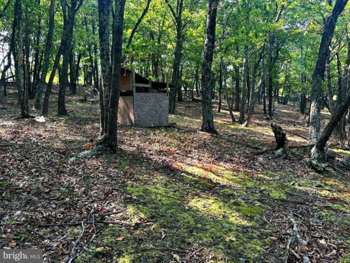 Picture of Residential Land For Sale in Petersburg, West Virginia, United States