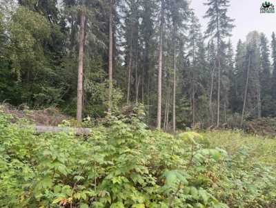 Residential Land For Sale in Fairbanks, Alaska