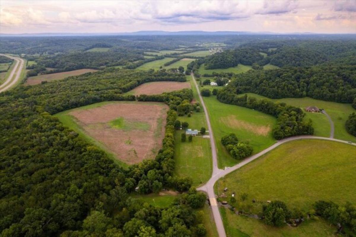 Picture of Residential Land For Sale in Kelso, Tennessee, United States