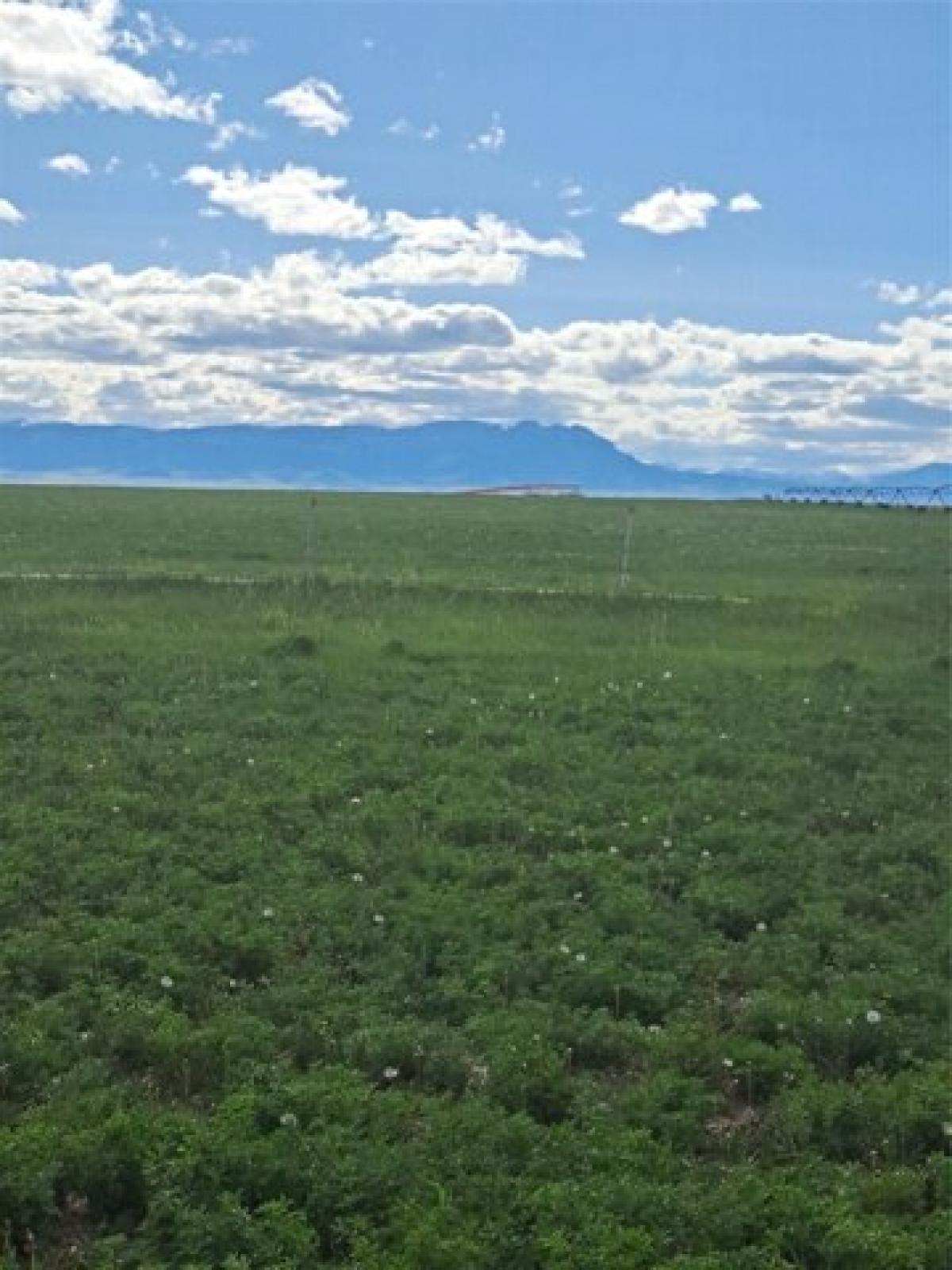 Picture of Residential Land For Sale in Fairfield, Montana, United States