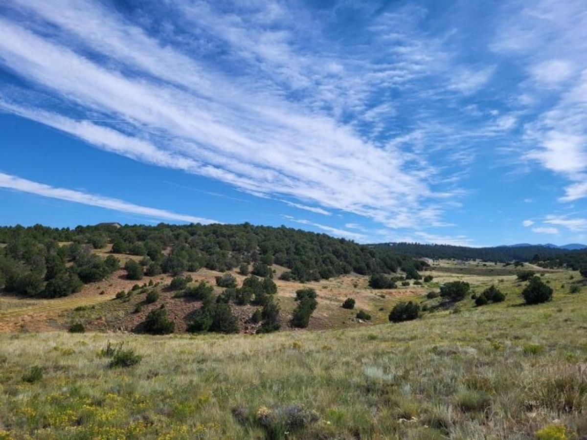 Picture of Residential Land For Sale in Westcliffe, Colorado, United States