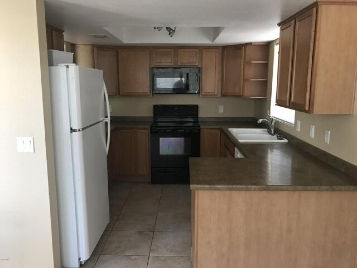 Picture of Apartment For Rent in Mesa, Arizona, United States