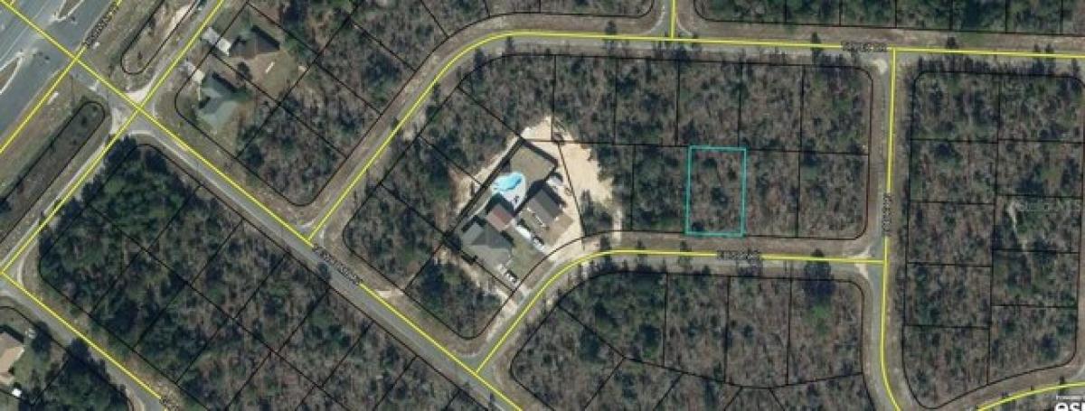 Picture of Residential Land For Rent in Chipley, Florida, United States