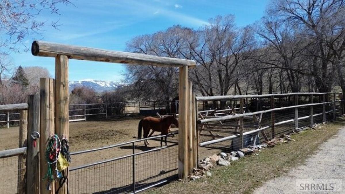 Picture of Home For Sale in Challis, Idaho, United States