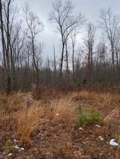 Residential Land For Sale in Gruetli Laager, Tennessee