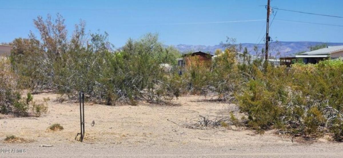 Picture of Residential Land For Sale in Topock, Arizona, United States