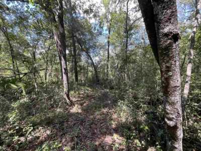 Residential Land For Sale in 