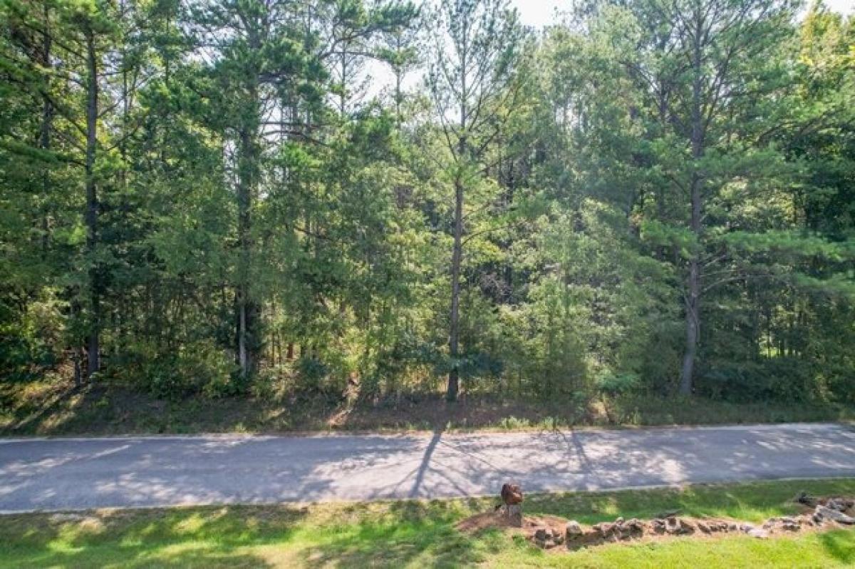 Picture of Residential Land For Sale in Thaxton, Mississippi, United States