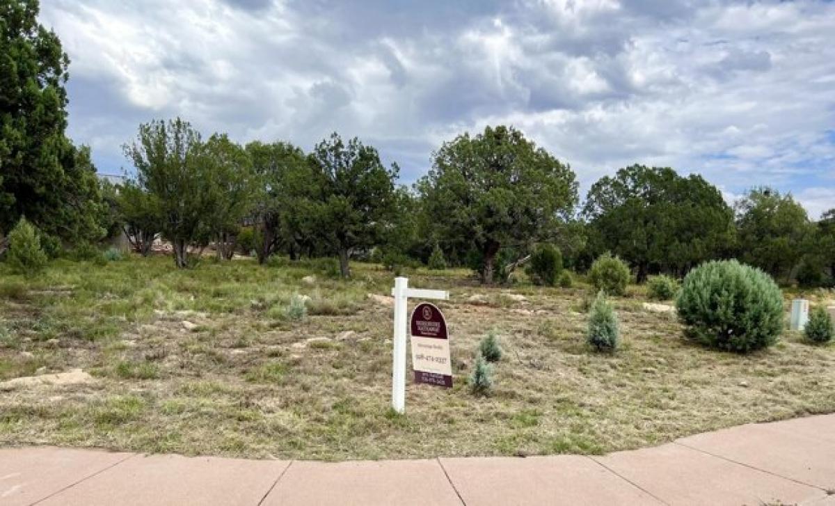 Picture of Residential Land For Sale in Payson, Arizona, United States