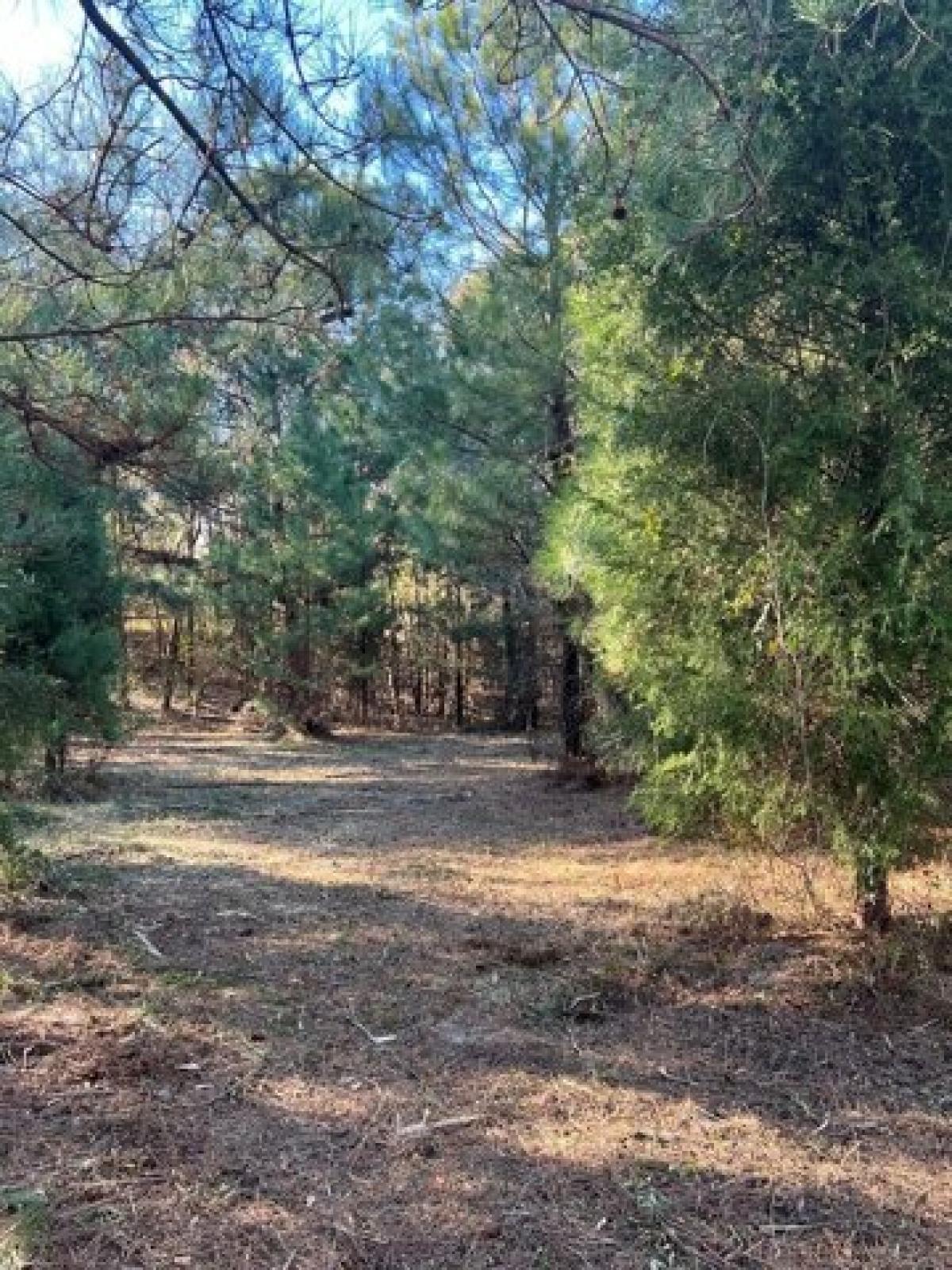 Picture of Residential Land For Rent in Georgetown, Georgia, United States