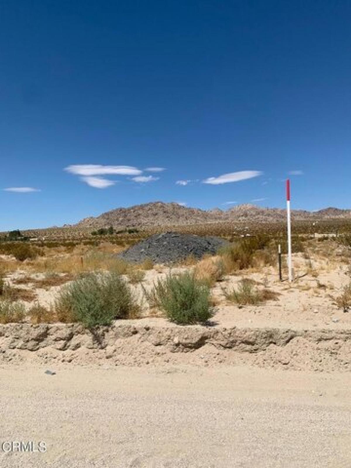 Picture of Residential Land For Sale in Lucerne Valley, California, United States