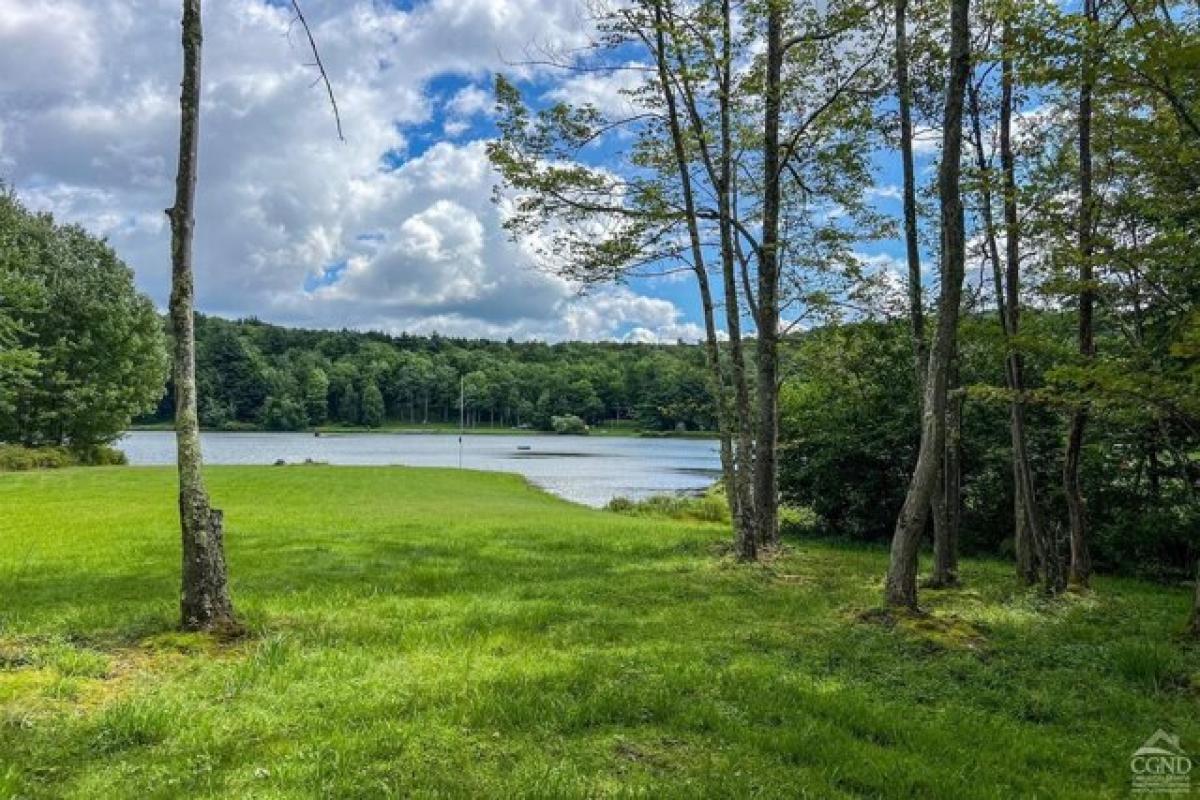 Picture of Home For Sale in Hobart, New York, United States