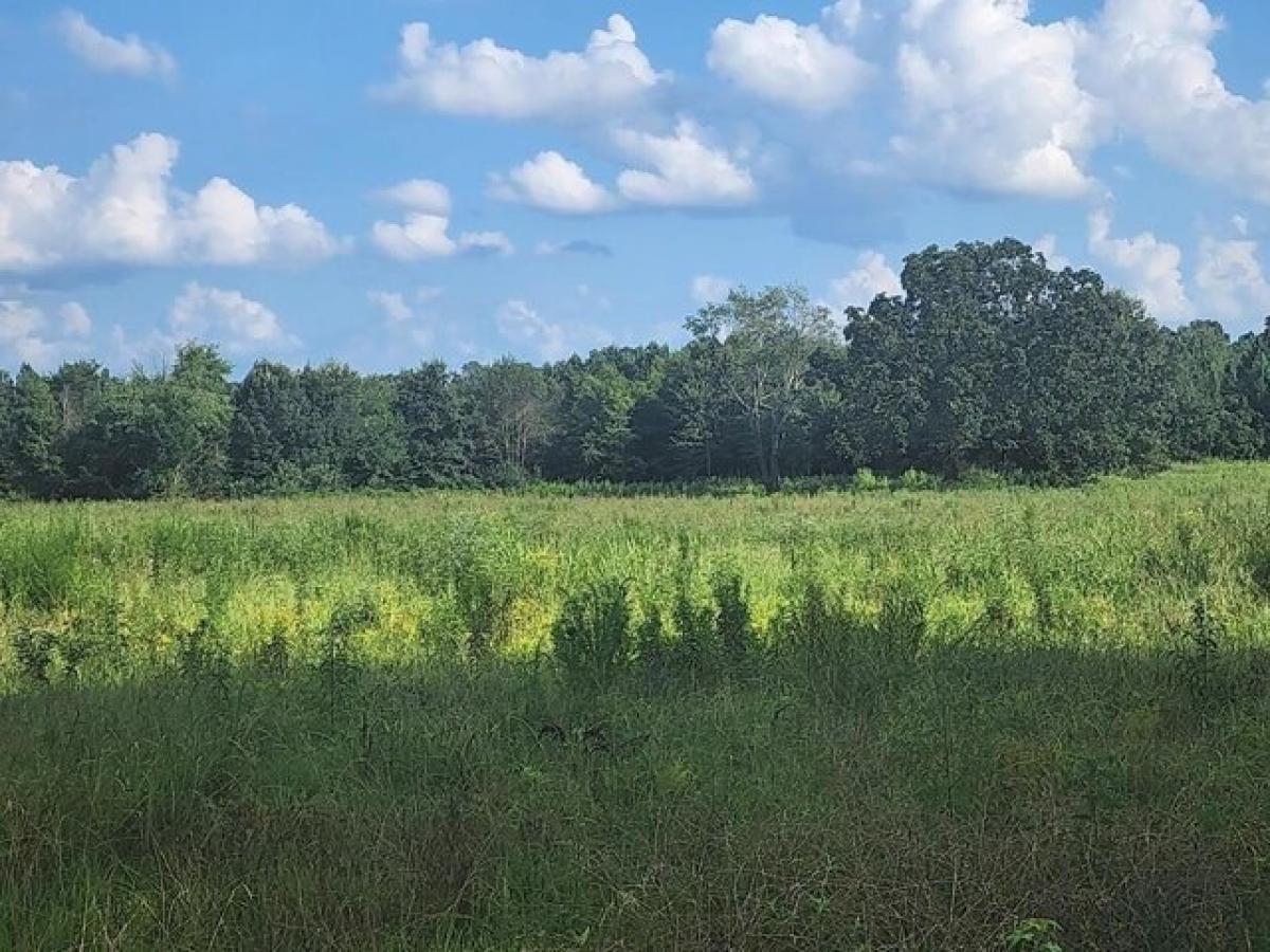 Picture of Residential Land For Sale in Big Sandy, Tennessee, United States