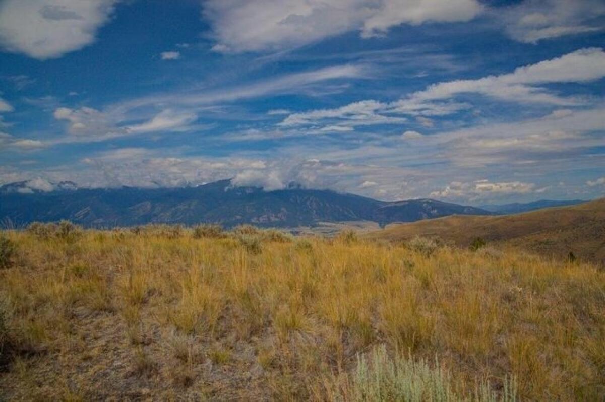 Picture of Residential Land For Sale in Florence, Montana, United States