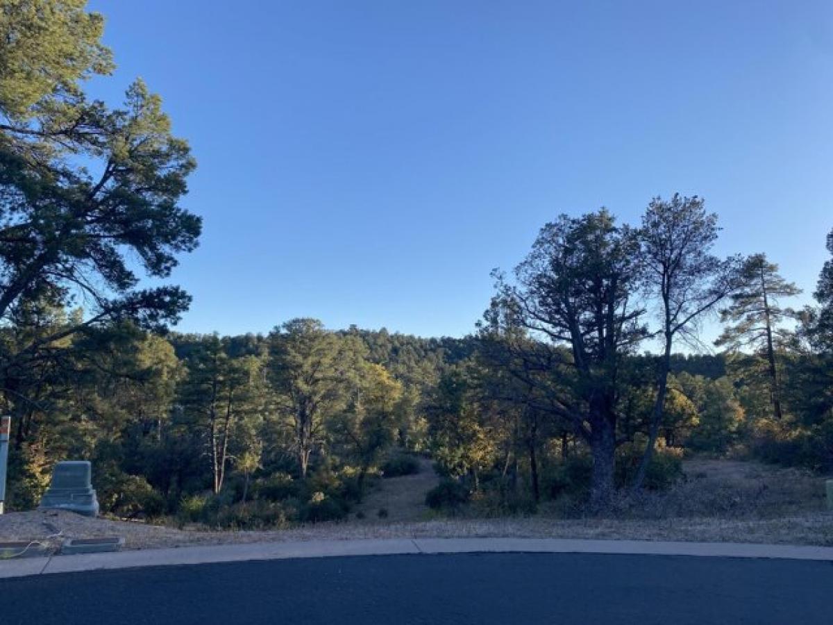 Picture of Residential Land For Sale in Payson, Arizona, United States