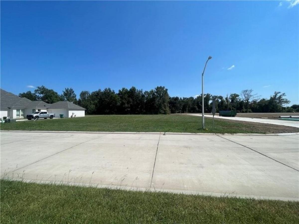 Picture of Residential Land For Sale in Hahnville, Louisiana, United States