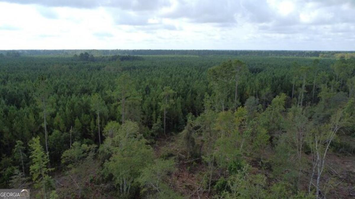 Picture of Residential Land For Sale in Waverly, Georgia, United States