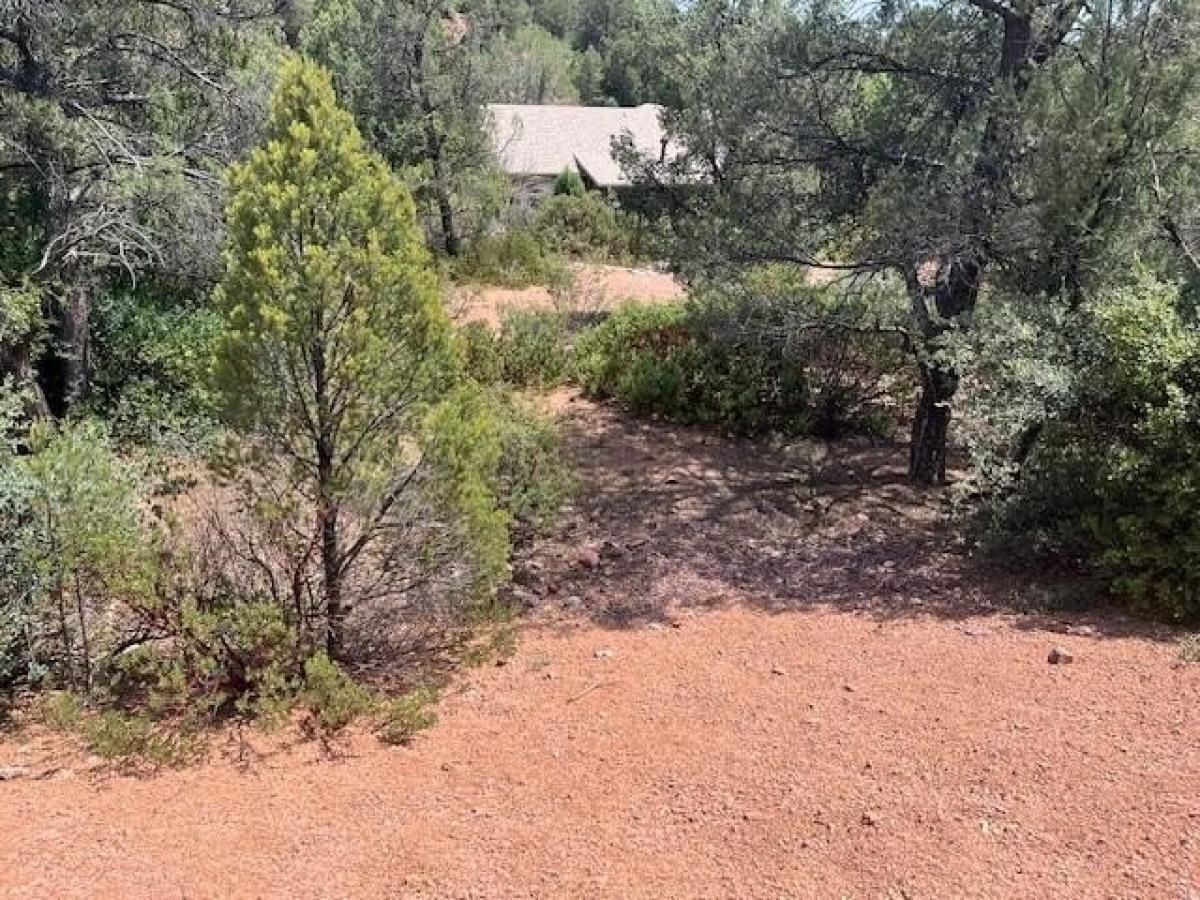 Picture of Residential Land For Sale in Payson, Arizona, United States