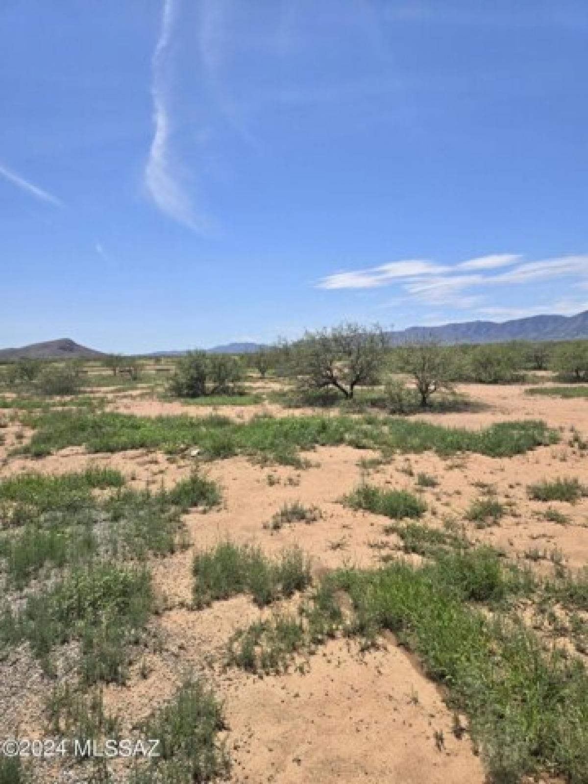 Picture of Residential Land For Sale in Pearce, Arizona, United States