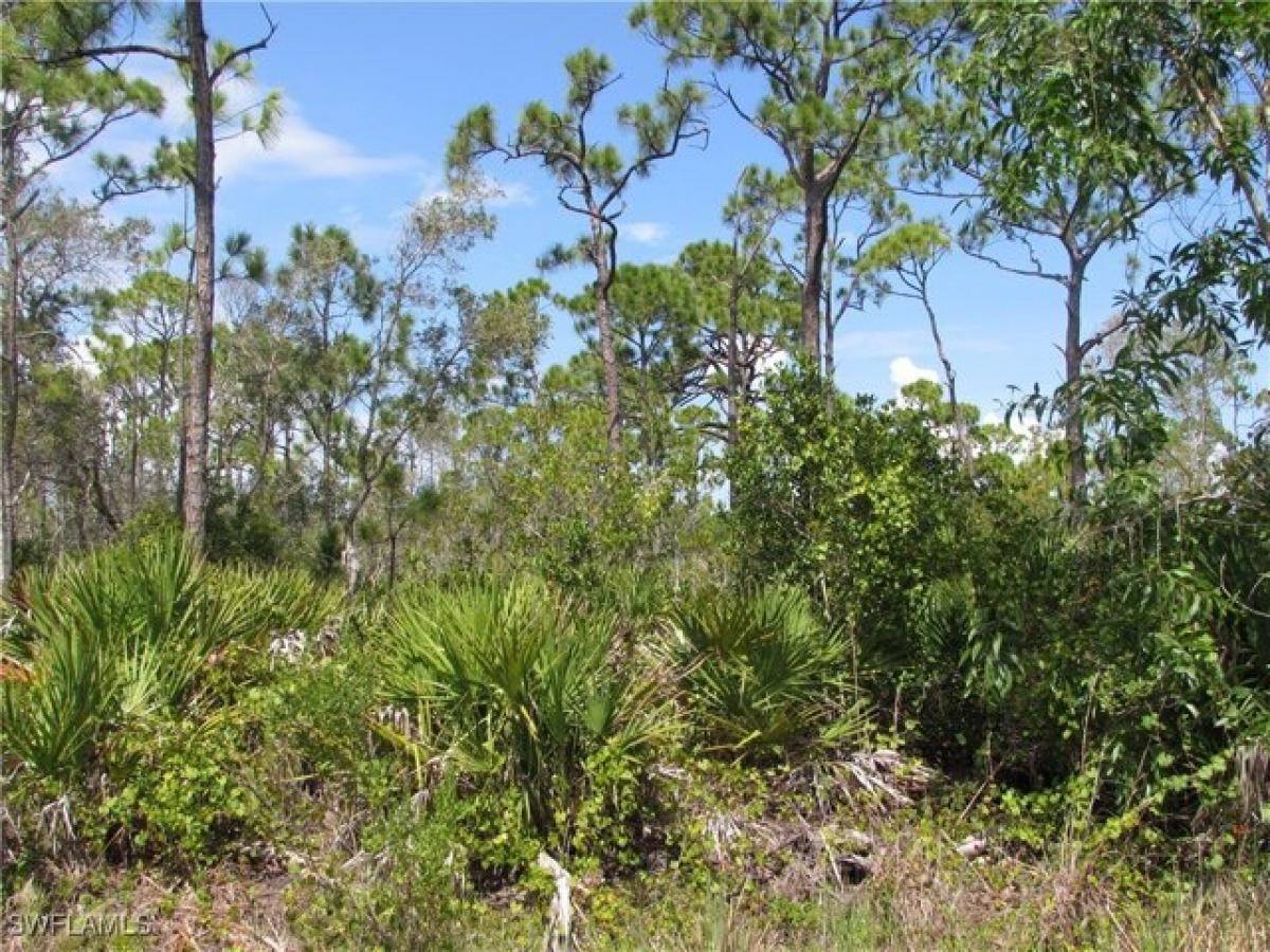 Picture of Residential Land For Sale in Saint James City, Florida, United States