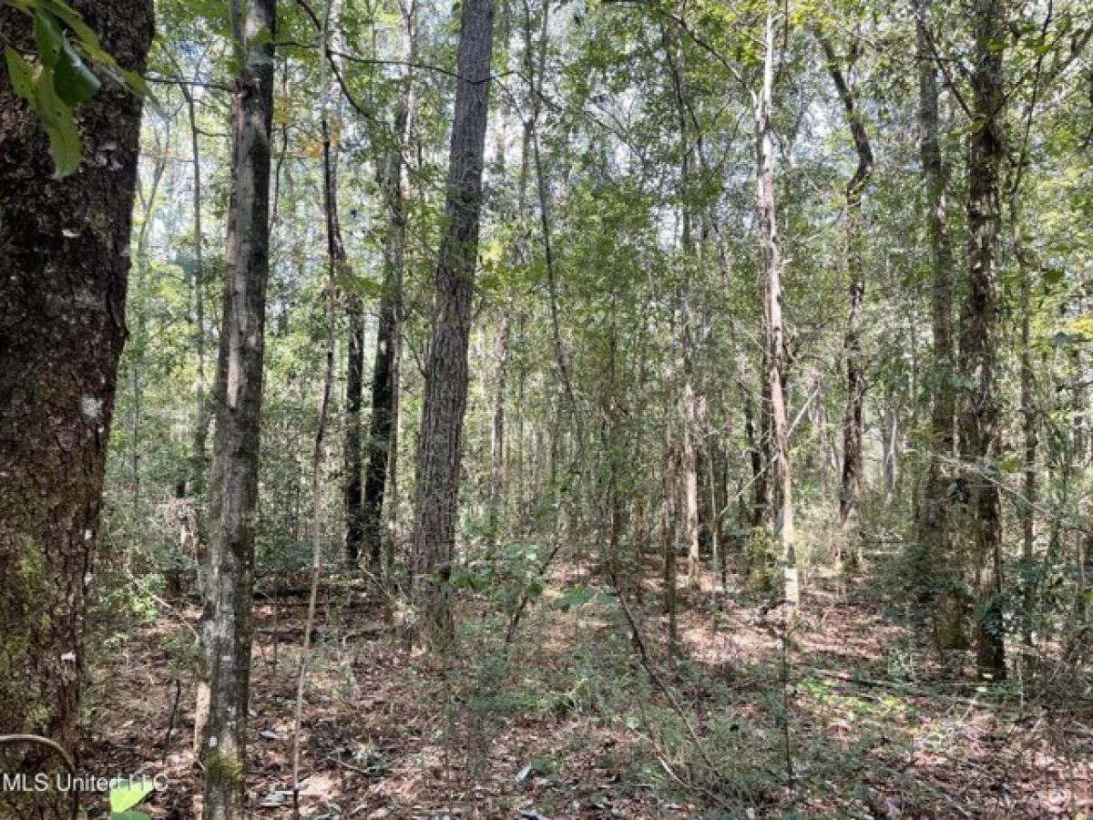 Picture of Residential Land For Sale in Vancleave, Mississippi, United States