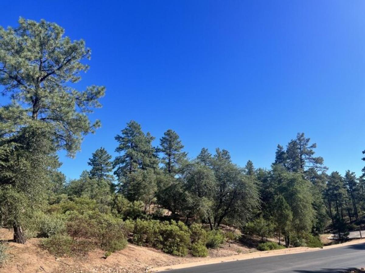 Picture of Residential Land For Sale in Payson, Arizona, United States