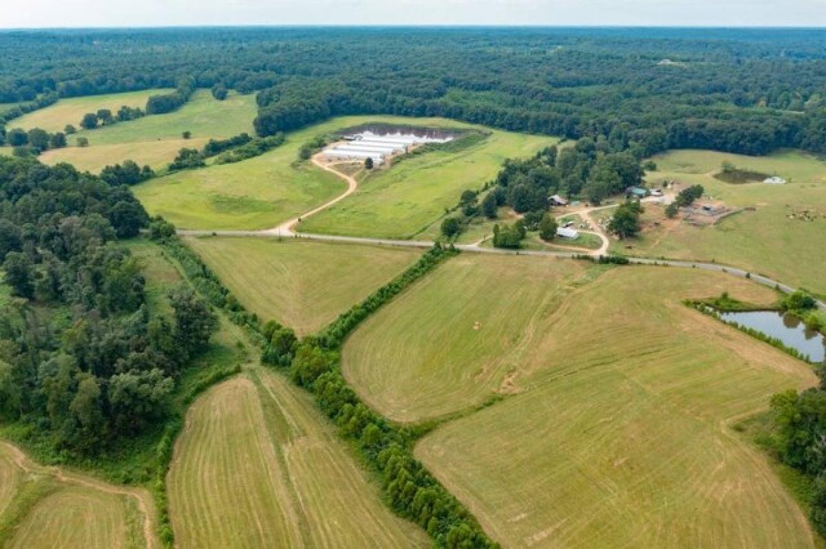 Picture of Home For Sale in Paris, Tennessee, United States