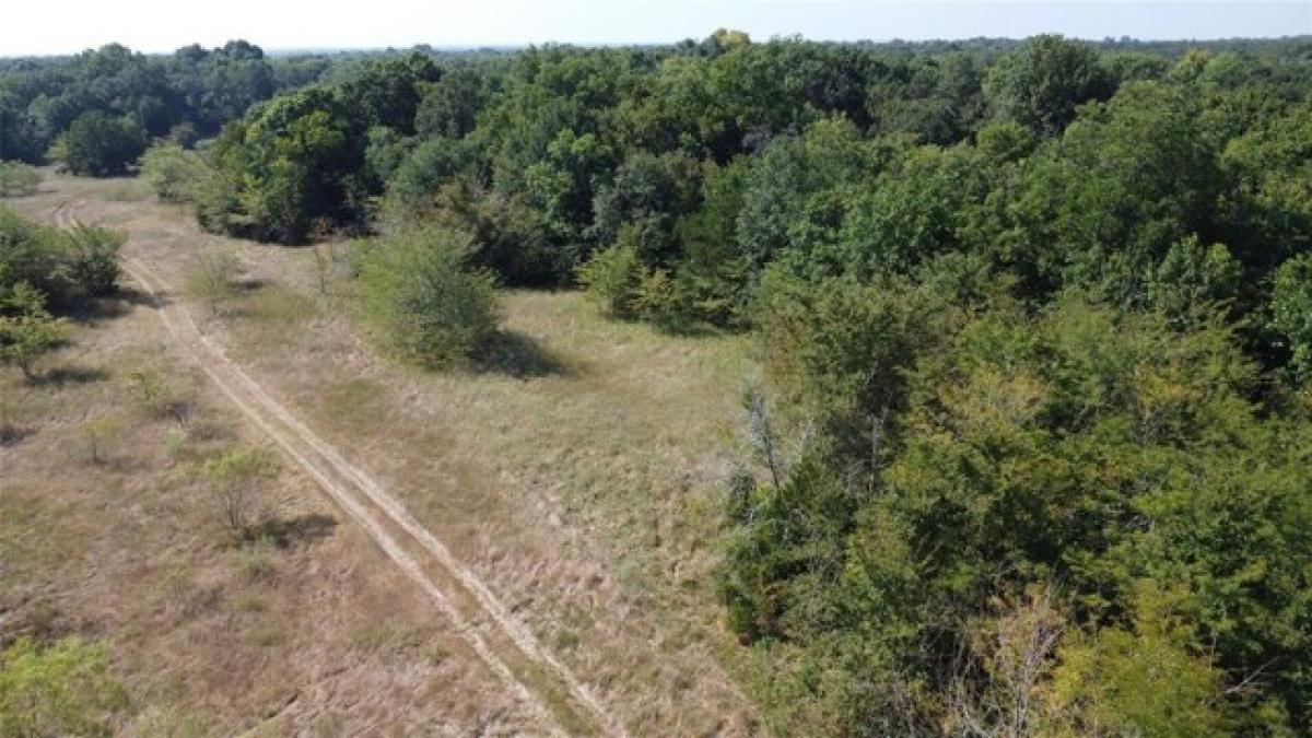 Picture of Residential Land For Sale in Commerce, Texas, United States