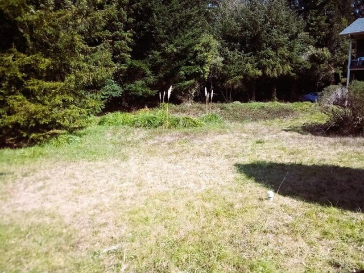 Picture of Residential Land For Sale in Brookings, Oregon, United States